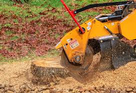 Best Stump Grinding and Removal  in Fairfax, OH